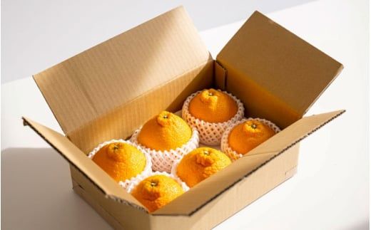 【先行予約】【数量わずか】樹上完熟しらぬい（不知火） 約2kg(6個) 秀品 / 和歌山 みかん しらぬい 不知火 フルーツ 柑橘 蜜柑 果物 くだもの ※2027年2月下旬～2027年3月下旬頃に順次発送予定（お届け日指定不可）【kgr005】