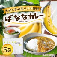 ばななカレーセット|ばなな カレー 黄金ときめきバナナ あまい 特製 益子町産（CA007）