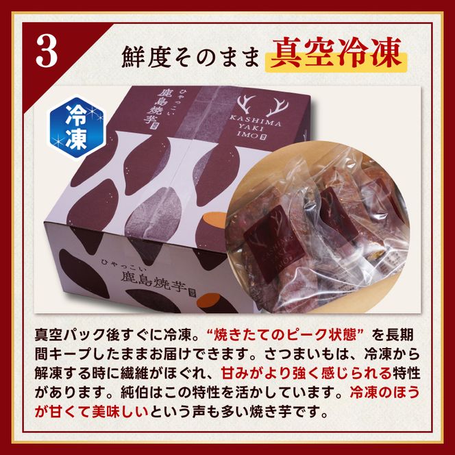 ★事業者支援★ 訳あり 冷凍 焼芋 「ひゃっこい 鹿島焼芋 純伯 1.5kg（500g×3袋）」 数量限定 【冷凍 冷凍やきいも 冷凍焼き芋 冷やし 焼き芋 やきいも さつまいも 紅はるか 芋 お菓子 おやつ デザート スイーツ 和菓子 和スイーツ 鹿嶋市 茨城県】（KBK-23-2）