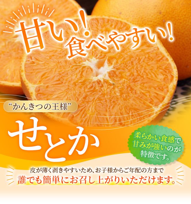 【先行予約】みかん せとか ご家庭用 たにぐち農園の せとか 4.5kg 大小混合【2027年3月から4月上旬までに順次発送予定】 / 家庭用 ご家庭用 せとか みかん 蜜柑 サイズ 不揃い【mtn012C】