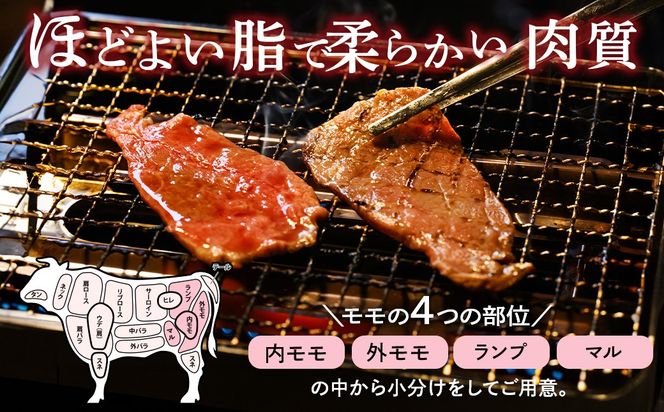 ＜亀岡牛専門店（有）木曽精肉店＞「亀岡牛もも 焼肉 用」500g ☆祝！亀岡牛 2023年最優秀賞（農林水産大臣賞）受賞　※冷凍（冷蔵も指定可） ふるさと納税牛肉 焼き肉