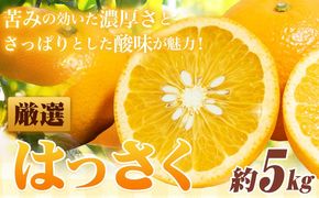 ＜1月より発送＞ 厳選 はっさく 5kg+250g（傷み補償） 池田鹿蔵農園 日高町 《2026年1月上旬-3月末頃出荷》和歌山県 日高町 送料無料 はっさくみかん 八朔 はっさく ギフト【配送不可地域あり】---wsh_idn316_1j3m_25_13000_5kg---