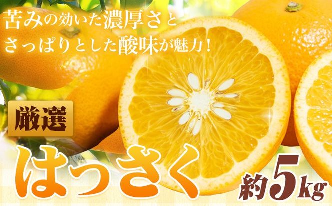 ＜1月より発送＞ 厳選 はっさく 5kg+250g（傷み補償） 池田鹿蔵農園 日高町 《2026年1月上旬-3月末頃出荷》和歌山県 日高町 送料無料 はっさくみかん 八朔 はっさく ギフト【配送不可地域あり】---wsh_idn316_1j3m_25_13000_5kg---