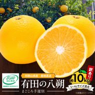 【2027年先行予約】和歌山県産 有田の八朔 (はっさく)【訳あり 家庭用】約10kg【S～4Lサイズ混合】まごころ手選別 _ZE6168n