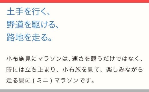 第23回 小布施見にマラソン 出走権 1名分 2026 ［小布施見にマラソン実行委員会］ マラソン大会 ハーフマラソン 出走券 チケット スポーツ 仮装 コスチューム 参加券 大会 期間限定 送料無料 長野県 小布施町