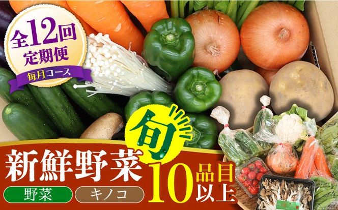 【毎月コース】旬の野菜・キノコ 詰め合わせ 10品目以上 12回 定期便 季節 旬 セット 春 夏 秋 冬 定期 毎月 新鮮 / 南島原市 / 吉岡青果 [SCZ007]