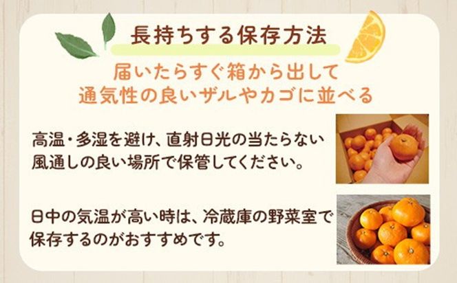 【先行予約】【訳あり】紀州和歌山産 温州みかん「おてんば娘」約1kg（箱込み）S～2L サイズ混合（早生・中生）