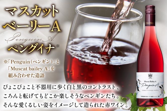 ワイン 赤 マスカット・ベーリーA ペングイナ 1本 [本坊酒造 マルス穂坂ワイナリー 山梨県 韮崎市 20745560] ふるさと納税 酒 お酒 シャトーマルス 赤ワイン 果実酒 ライトボディ 国産