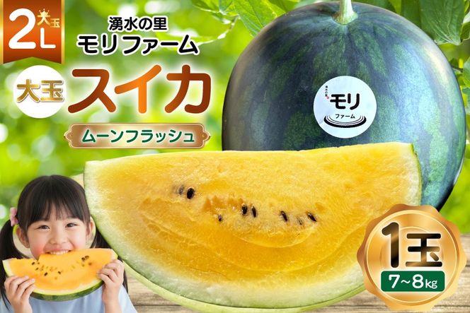 y茧szAJ457 yߘa8Nxoוz N̗ t@[ ʃXCJ [tbV 2L 7`8kg 1 [ s\ ʌ  XCJ Z t[c ʕ  茧 s ]