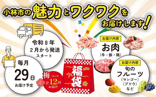 【定期便・全12回】新春おたのしみ 福袋 梅（牛肉 豚肉 鶏肉 果物 フルーツ 限定 2026 定期便 宮崎 小林市）