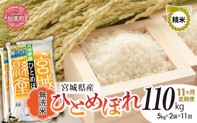 y{錧zy11ցzR7 {錧Y ЂƂ߂ڂ  10kg×11 [ {錧   ]   R  sw-hb10-mu-t11-r7