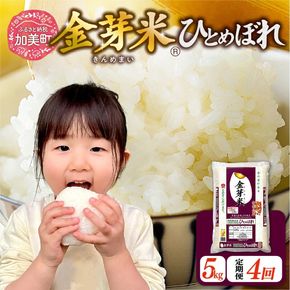 【新米予約】金芽米 定期便 無洗米 5kg × 4ヶ月 計 20kg 令和8年 米 特別栽培米 ひとめぼれ 宮城県 加美産 BG無洗米 [ 宮城県 加美町 ] km-km-knm05-t4-r8 | km-km-knm05-t4-r8