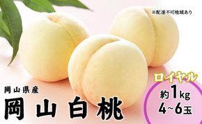 桃 2026年 先行予約 岡山 白桃 ロイヤル 4～6玉 1kg 岡山県産 JAおかやまのもも モモ 岡山県産 国産 フルーツ 果物 ギフト 