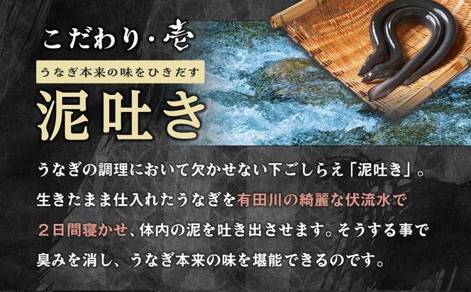 【有田川町×湯浅町】うなぎ蒲焼2本＆角長特製蒲焼タレ1本セット Y007