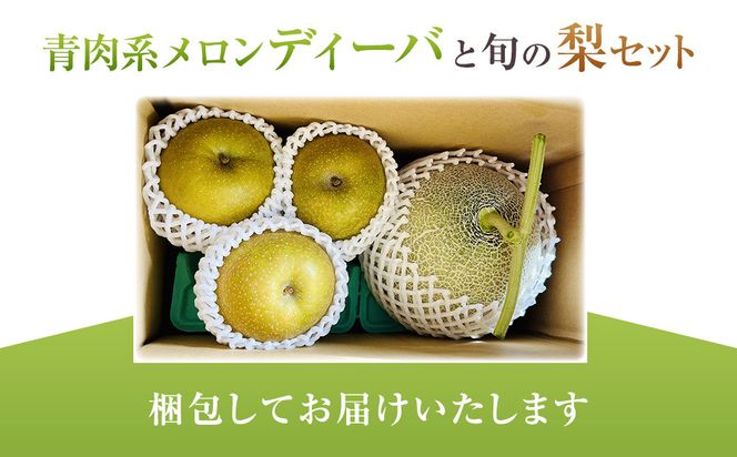 【先行予約】924.【ふるさと納税】【青肉系メロン】ディーバ（メロン）と旬の梨セット※離島への配送不可（北海道、沖縄本島は配送可能） 313726_BQ002
