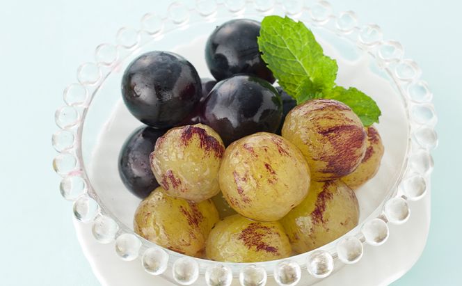 ぶどう 2026年 先行予約 ニューピオーネ 4房(1房480g以上) ブドウ 葡萄 岡山県産 国産 フルーツ 果物 ギフト