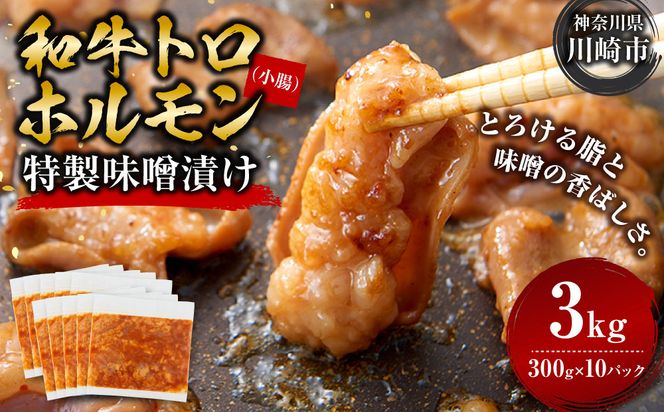 ＜訳アリ＞和牛トロホルモン　特製味噌漬け　3kg(300g×10）【12月発送】 【kw0096-0049-12】