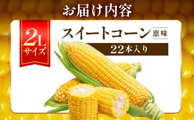 ＜2026年7月中旬〜順次お届け＞ スイートコーン・恵味（2Lサイズ）【dnk-003】とうもろこし コーン スイートコーン 野菜 伊達野菜 サラダ 北海道 伊達市