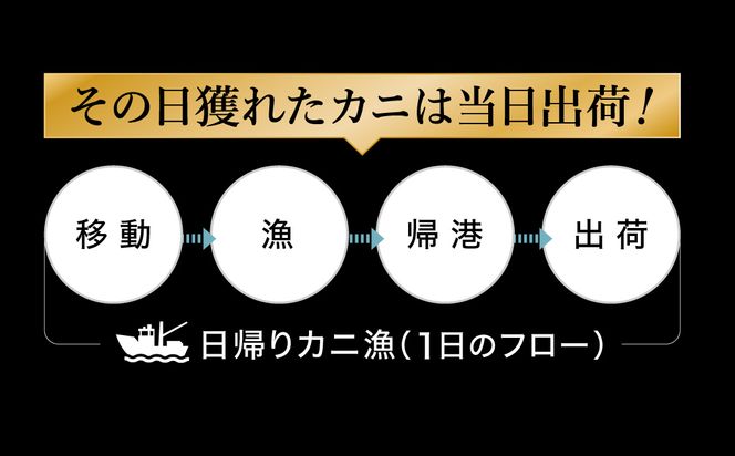 期間・数量限定 タグ付き 津居山産 松葉ガニ 1杯 / 茹で 700g～800g / 新鮮 松葉がに 松葉蟹 ズワイガニ ずわいがに かに カニ 蟹 ボイル 冷蔵 海鮮 お取り寄せ グルメ 兵庫県 豊岡市 津居山漁港 但馬漁業協同組合