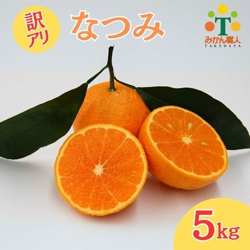 【先行予約】訳あり みかん職人の なつみ 5kg フルーツ 果物 みかん職人 果物 オレンジ フルーツ 柑橘 みかん 愛媛県 愛南町 みかん職人武田屋 