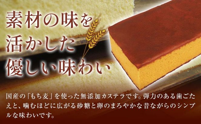 もち麦カステラ 2本 株式会社玉利軒《45日以内に出荷予定(土日祝除く)》岡山県 笠岡市 カステラ もち麦 お土産 和菓子 手土産 送料無料---T-09---