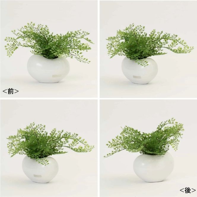 アートフラワー エミリオ・ロバ アジアンタム TTTTA03070