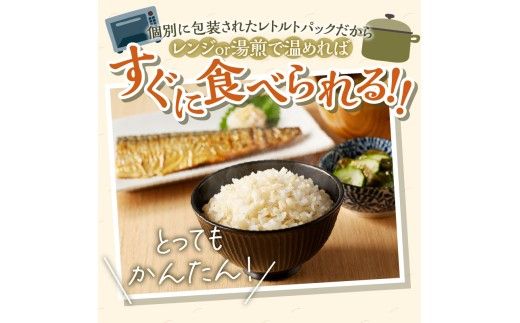 3カ月連続お届け【ごはんで腸活】もち麦ごはんレトルト48パック