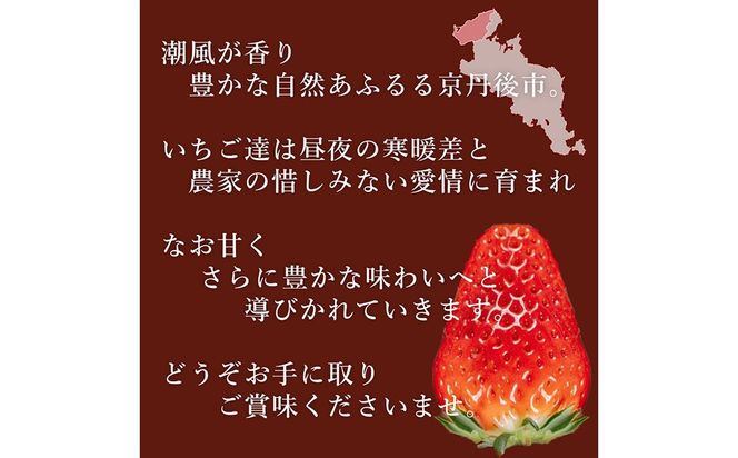 【限定100個】先行予約　京丹後産いちご章姫　400g以上（9～12粒）　いちご、イチゴ、あきひめ、章姫、京丹後、丹後、フルーツ、美食　BF00031