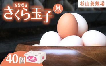 純国産鶏さくらちゃんが産んだ桜色のさくら玉子 五分咲き（Mサイズ）40個 ｜ 卵 鶏卵 たまご タマゴ 生卵 たまごかけご飯 濃厚 甘み 国産