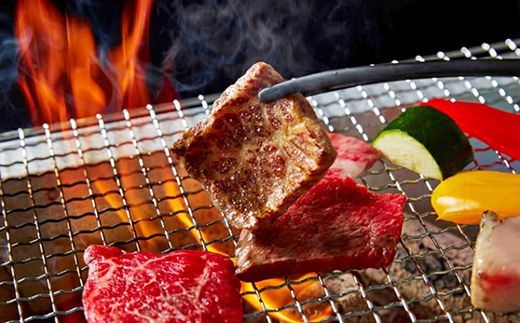 【1週間以内発送】A5等級未経産雌牛　特選近江牛おすすめ部位　焼肉3種盛り　300ｇ【FO29W】