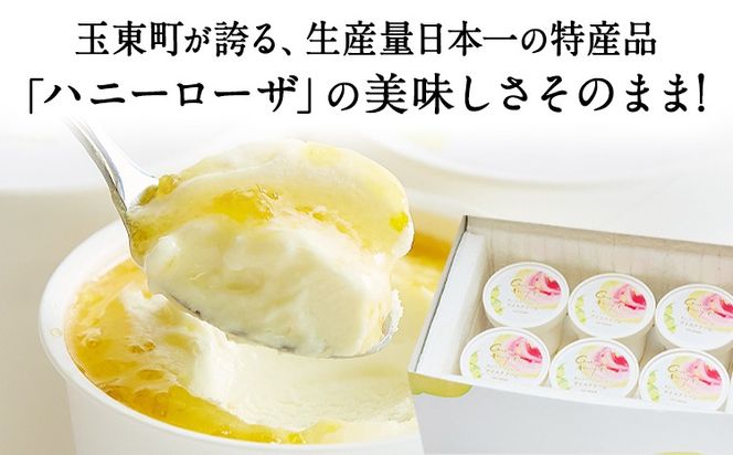 糖度17度の甘さ♪ハニーローザアイスクリーム 120ml 12個 熊本県 玉名郡 玉東町 すもも ハニーローザ アイス ぷらっとぎょくとう《60日以内に出荷予定(土日祝除く)》---gkt_prt_14_12k---