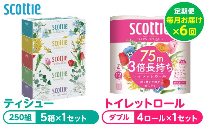 【定期便6回】【毎月お届け】【スコッティ】 組み合わせ ティシュー フラワーボックス 250組 5箱 計30箱 トイレットロール ダブル フラワーパック 3倍長持ち 4ロール 計24ロール ティッシュ トイレットペーパー 日用品 防災備蓄 ストック 備蓄 新生活 防災 消耗品 生活用品 日用消耗品 箱ティッシュ 熊本県 八代市