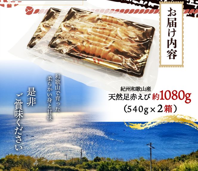 紀州和歌山産天然足赤えび540g×2箱（270g×4パック）化粧箱入 ※2026年12月上旬〜2027年2月上旬頃順次発送予定（お届け日指定不可）／海老 エビ えび クマエビ 天然【uot773A】
