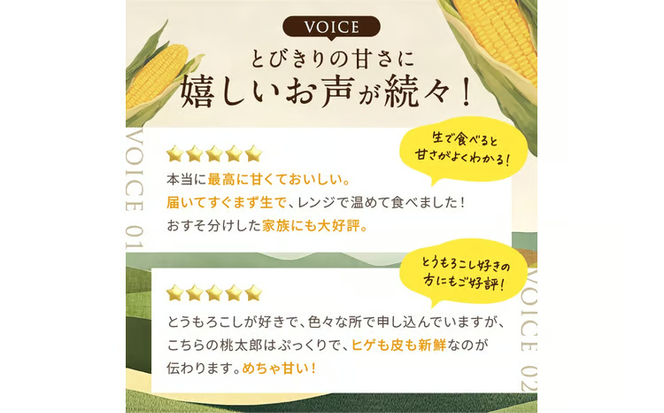 ［2026年先行予約］牛窓産とうもろこし まるでフルーツ！最高糖度25度超え 生で甘い、茹でて美味い！ 黄色 とうもろこし 「桃太郎コーン」約4kg（8～12本入り） 野菜[№5735-0982]