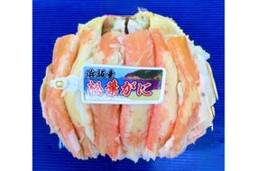 松葉ガニ 甲羅盛L 1個　SK00218