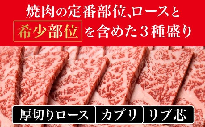 和歌山産 高級和牛 熊野牛 ロース盛合せ焼肉 約500g エバグリーン《30日以内に出荷予定(土日祝除く)》 和歌山県 日高町 牛 うし 牛肉 熊野牛 和牛 高級---wsh_fevg16_30d_24_27000_500g---