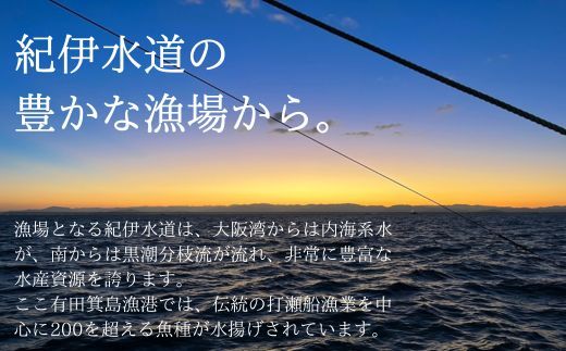 669.漁師の鮮魚箱（約2kg）(A669-2)