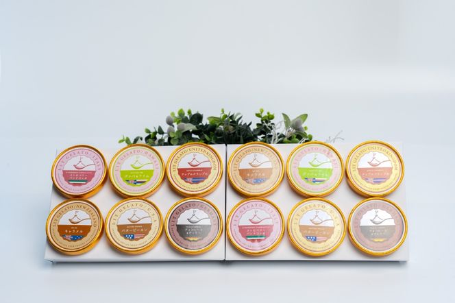 320.Lit GELATO 定番フレーバー 手作りジェラート 12個セット
