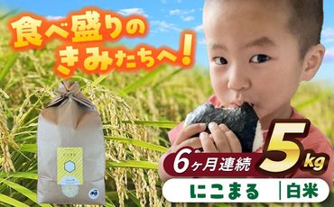 【6回定期便】にこまる　白米　5kg　お米　ご飯　愛西市／株式会社戸倉トラクター[AECS059]