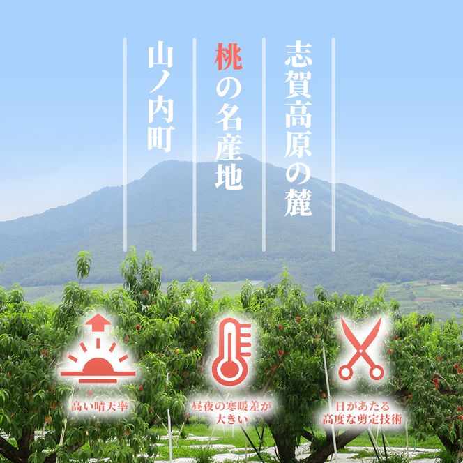 【2026年発送】志賀高原の麓で育った 桃（白鳳系）特秀10玉 約2.5kg 桃 もも 白鳳 フルーツ 果物 デザート 長野