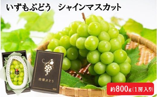 【2026年8月中旬以降発送】いずもぶどう シャインマスカット(800ｇ見当) 美味しい フルーツ 甘い 果物 出雲市産 322032_CG010