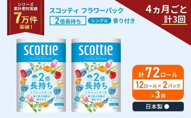 定期便 トイレットペーパー シングル スコッティ 2倍長持ち 72ロール ( 12ロール × 2パック )《 4ヶ月ごと 計  3回 》 フラワーパック 香り付き