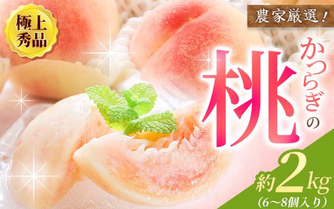 【先行予約】【厳選】あふれる果汁で口いっぱい！ 和歌山県産 桃 約2kg（6個～8個） 【2027年6月20日頃～順次発送予定】（お届け日指定不可）/ 和歌山 桃 モモ フルーツ もも 白桃 果物 くだもの【kgr001B】