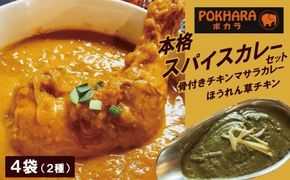 【レンジで簡単】本格スパイスカレー２種４袋セット 本格スパイスカレー 食べ比べ おやつ H177-022
