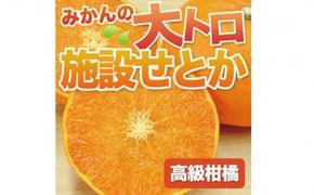 【先行予約】石本果樹園の美味しいせとか 約2kg 9～15玉【2025年2月中旬から3月中旬までに順次発送】 / みかん フルーツ くだもの 果物 せとか 【min004】