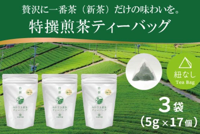 お茶 ティーバッグ 特撰 みやざき煎茶 3袋 セット [谷岩茶舗 宮崎県 日向市 452061642] ティーパック 茶 茶葉 緑茶 新茶 お茶の葉