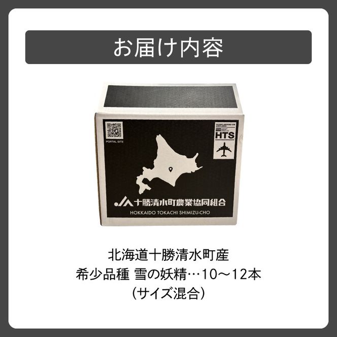 【2026年8月～発送開始！】北海道十勝清水町産 希少品種！ 白いとうもろこし 雪の妖精 サイズ混合 10～12本_S021-0017