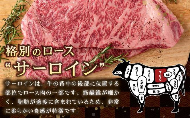 【佐賀牛】肉の王様☆サーロインステーキ 500g (約250g×2枚）国産 黒毛和牛 ステーキ 霜降り ごちそう グルメ お取り寄せ ギフト 贈答 贈り物