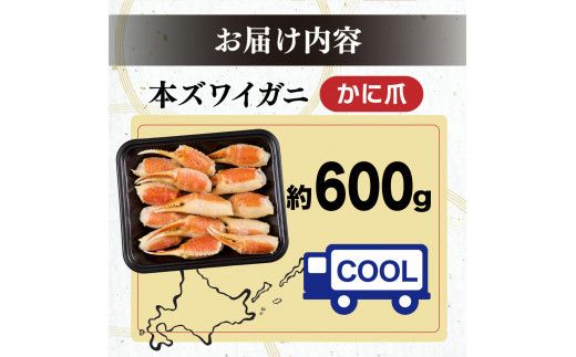 訳あり 冷凍 ボイル ずわいがに 爪 600gズワイガニ 【 本ズワイガニ 不揃い 規格外 カニクリームコロッケ 蟹爪 ボイル済み むきやすい 定期便 3回 お届け 不揃い ギフト 2026】