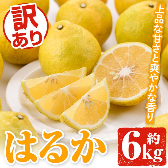 ＜先行予約受付中！2027年2月上旬以降順次発送予定＞訳ありはるか(約6kg) 国産 鹿児島県産 果物 フルーツ 柑橘 みかん はるか【松永青果】akn053-40